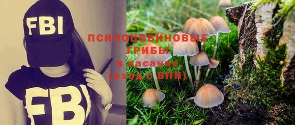 ПСИЛОЦИБИНОВЫЕ ГРИБЫ Армянск
