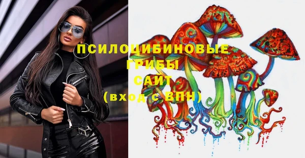 ПСИЛОЦИБИНОВЫЕ ГРИБЫ Армянск
