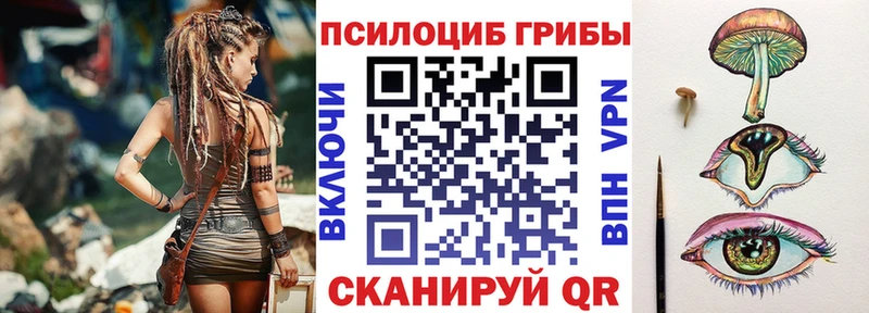 купить   Кондрово  Псилоцибиновые грибы Cubensis 