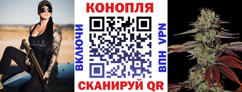 Шишки марихуана SATIVA & INDICA  где продают наркотики  нарко площадка клад  Кондрово 